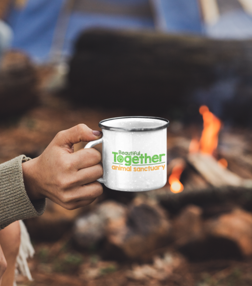 Enamel Camping Mug